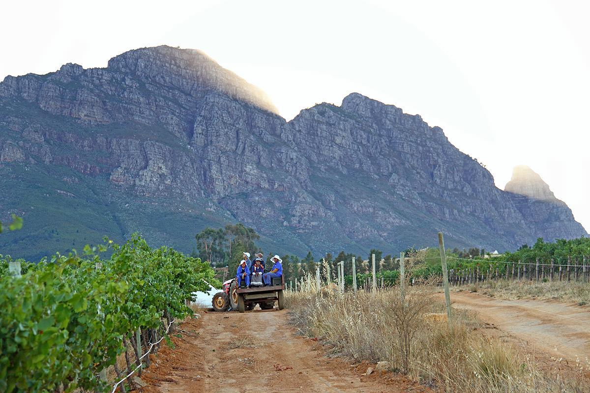 Muratie Wine Estate Stellenbosch Exterior photo