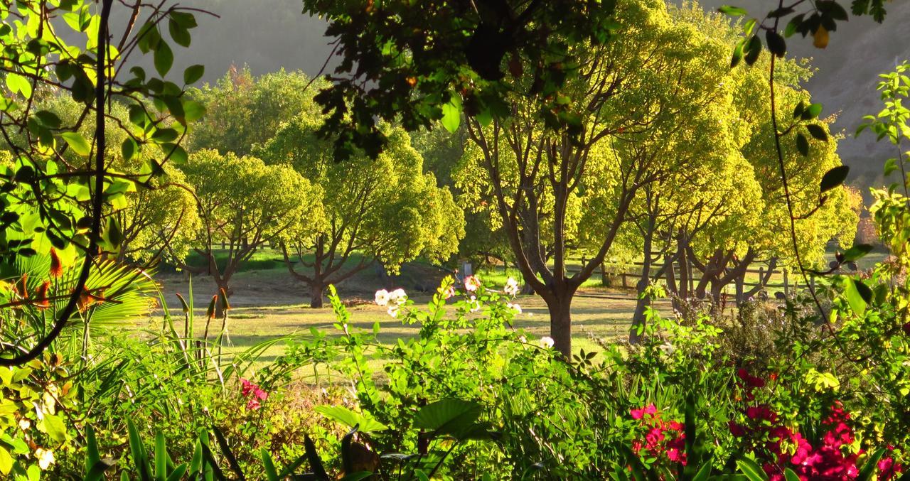Muratie Wine Estate Stellenbosch Exterior photo