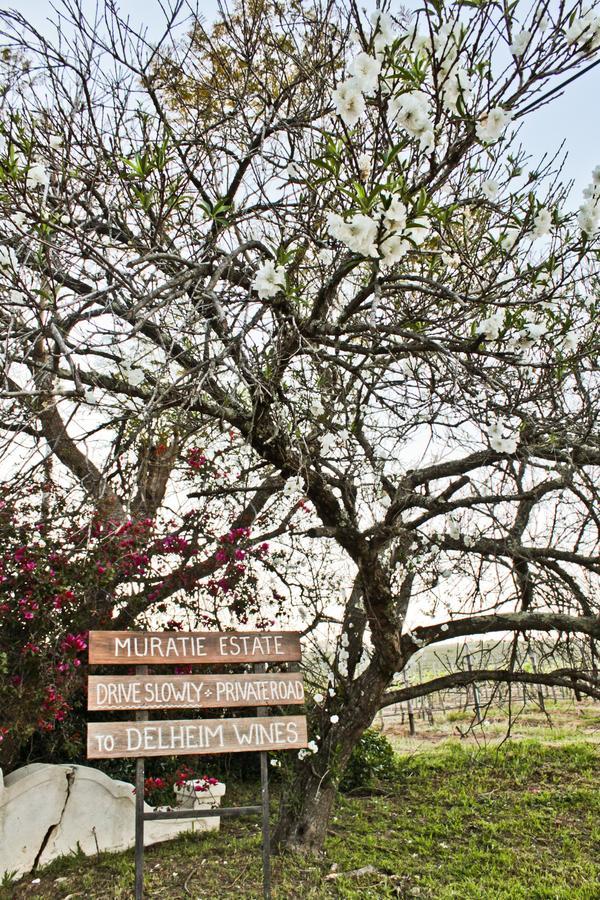 Muratie Wine Estate Stellenbosch Exterior photo